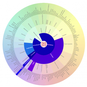 Cafe-Brasil-San-Rafael-Cata