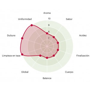 Cafe de especialidad kenia matunda puntuacion