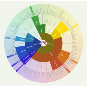 Cafe de especialidad kenia matunda cata