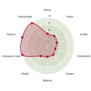 Cafe de especialidad Peru añas blues puntuacion