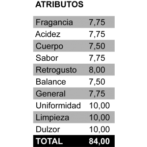 Cafe de especialidad Nicaragua Colibri Azul Puntuacion