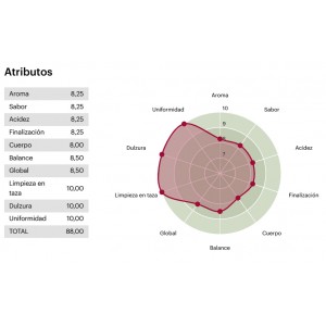 Cafe_Ruanda_Ikivuguto_Puntuacion